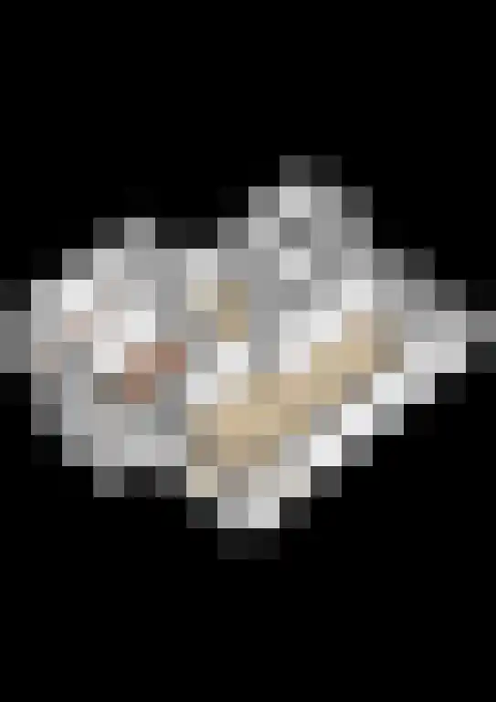 Lessinglaan 43 2 Utrecht thumbnail 32