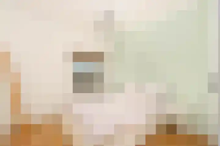 Lessinglaan 43 3 Utrecht thumbnail 11