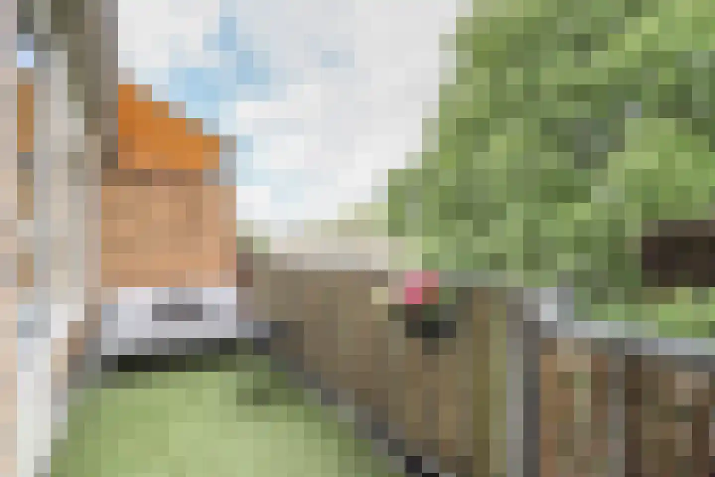 Lessinglaan 45 3 Utrecht thumbnail 19