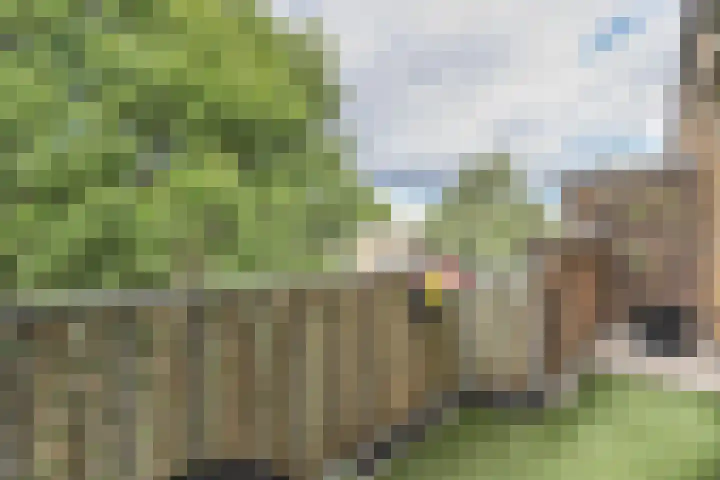 Lessinglaan 45 3 Utrecht thumbnail 20