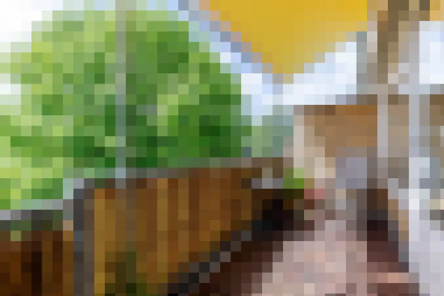 Lessinglaan 47 3 Utrecht thumbnail 18