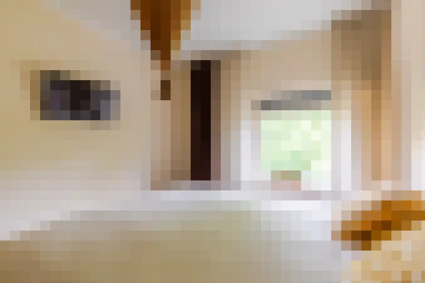 Lessinglaan 47 3 Utrecht thumbnail 19