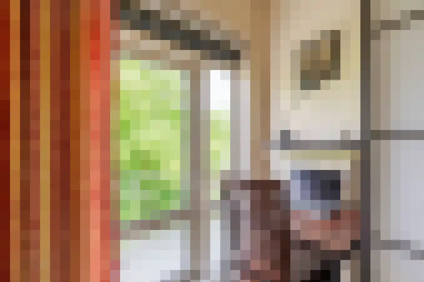 Lessinglaan 47 3 Utrecht thumbnail 22