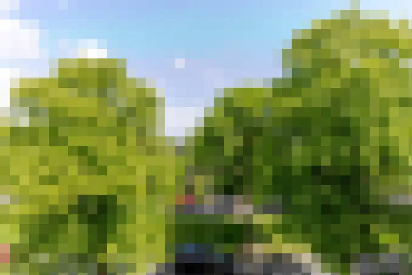 Lessinglaan 47 3 Utrecht thumbnail 26