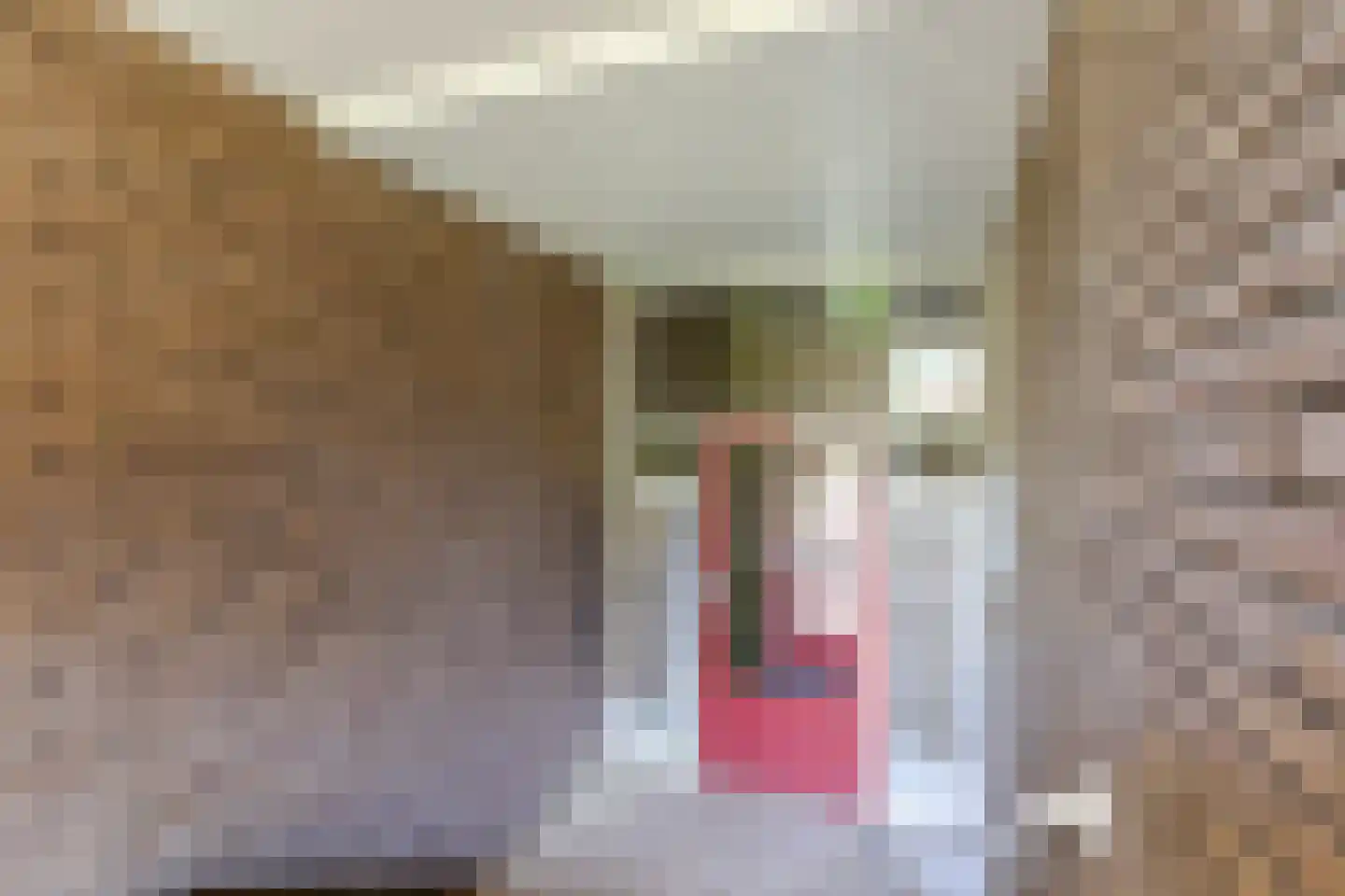 Lessinglaan 47 3 Utrecht thumbnail 27