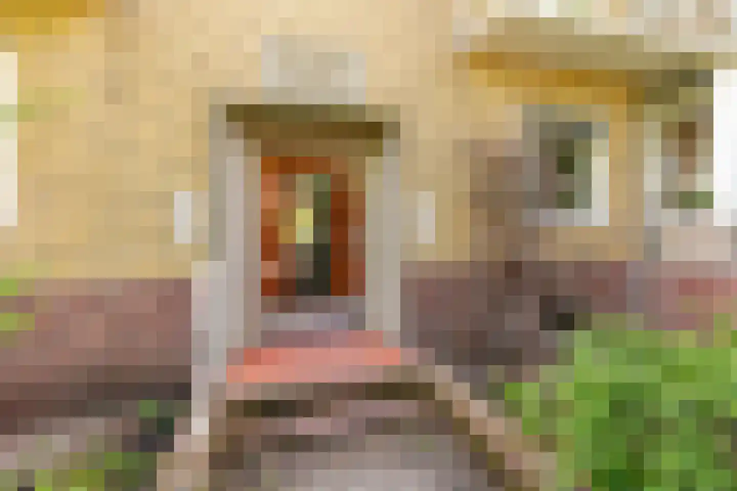 Lessinglaan 47 3 Utrecht thumbnail 28