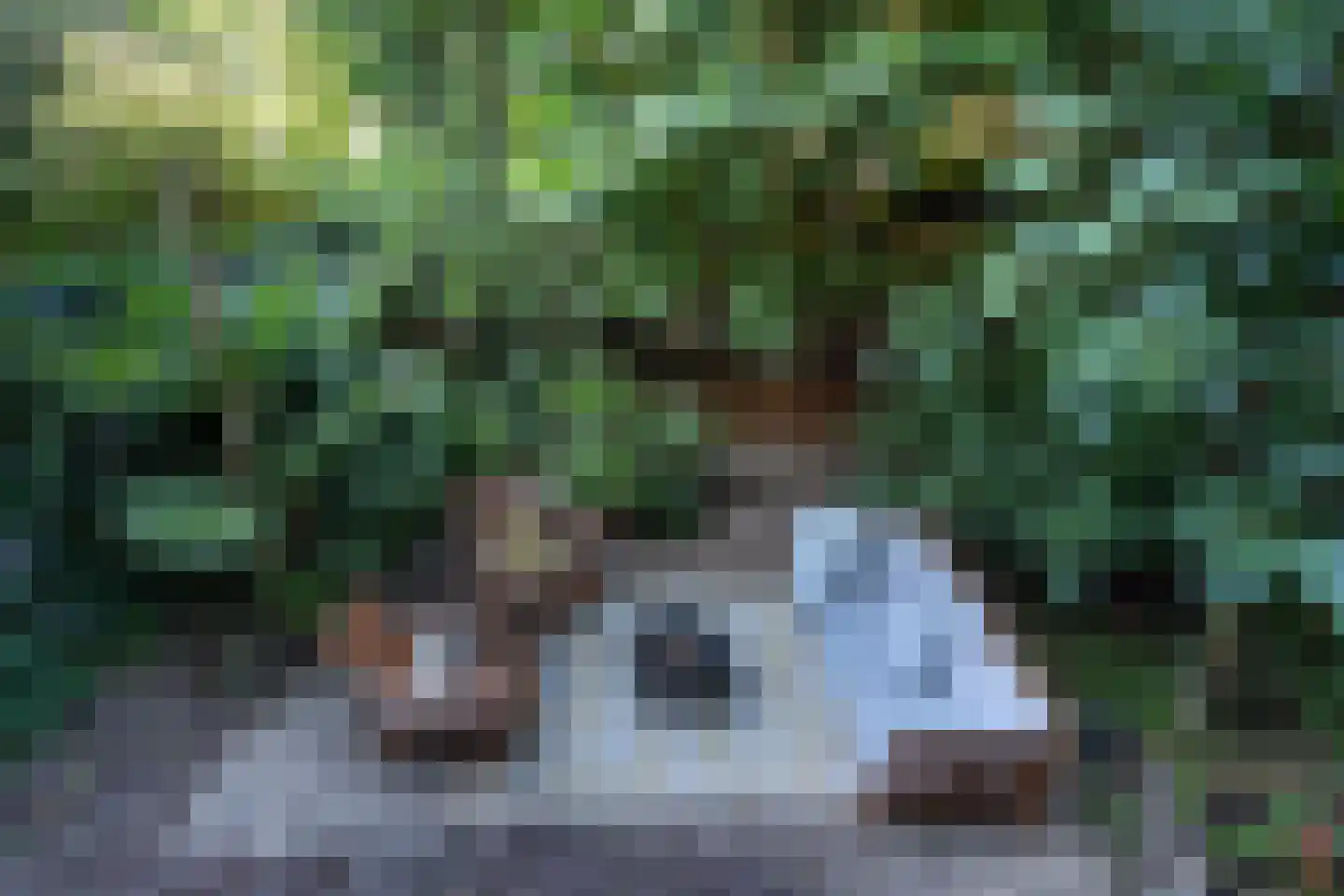 Lessinglaan 47 Utrecht thumbnail 14