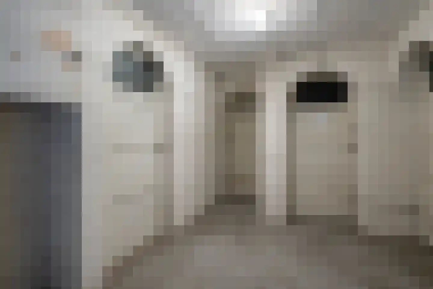 Lessinglaan 47 Utrecht thumbnail 21