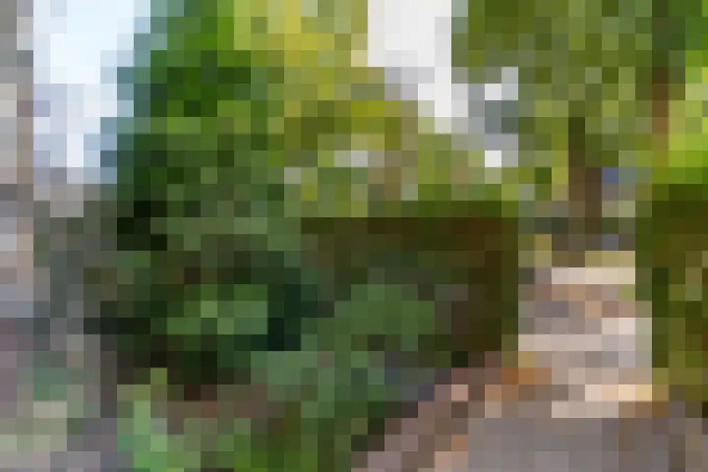 Lessinglaan 47 Utrecht thumbnail 25