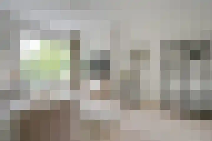 Lessinglaan 49 3 Utrecht thumbnail 10