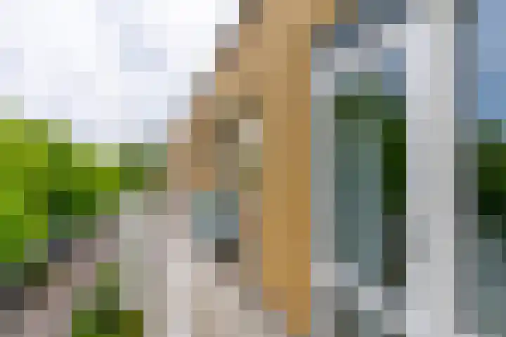 Lessinglaan 49 3 Utrecht thumbnail 11