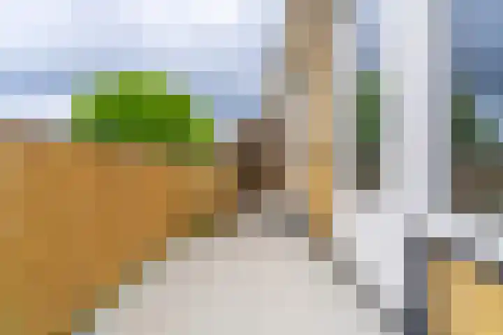 Lessinglaan 49 3 Utrecht thumbnail 22