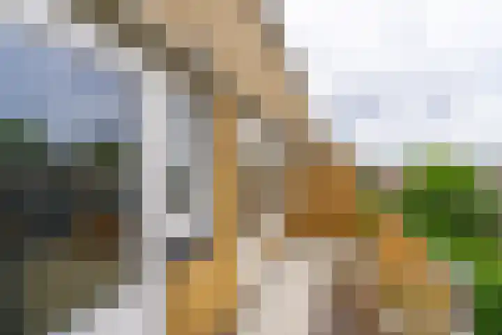 Lessinglaan 49 3 Utrecht thumbnail 23