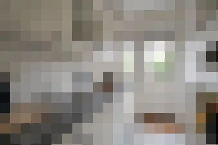 Lessinglaan 49 3 Utrecht thumbnail 24
