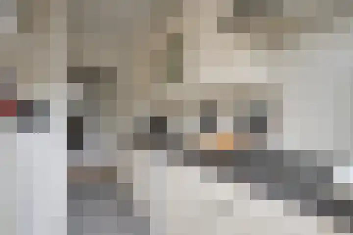 Lessinglaan 49 3 Utrecht thumbnail 25