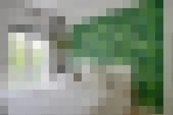 Lessinglaan 49 3 Utrecht thumbnail 26