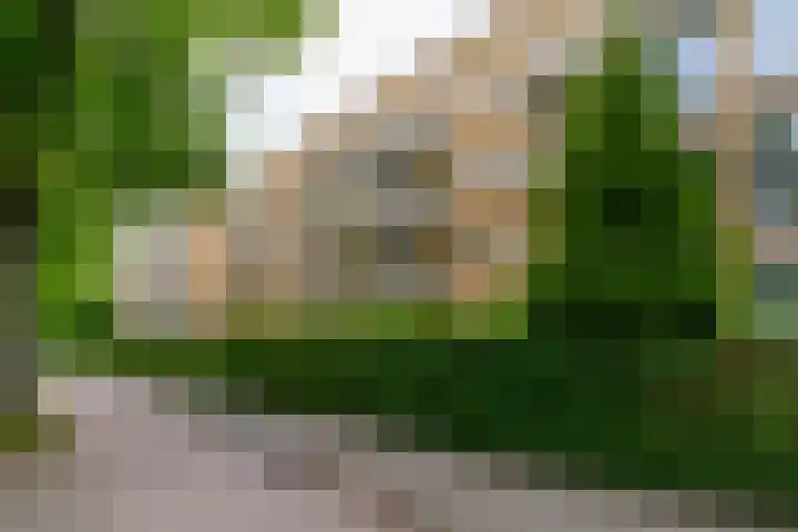 Lessinglaan 49 3 Utrecht thumbnail 31