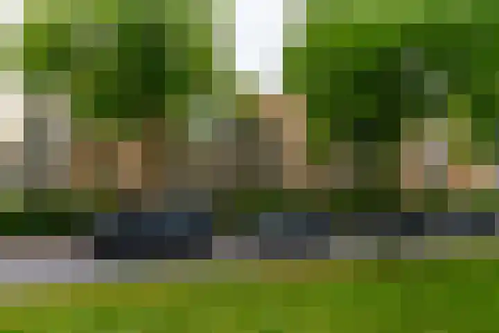 Lessinglaan 49 3 Utrecht thumbnail 32