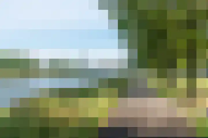 Lessinglaan 49 3 Utrecht thumbnail 35