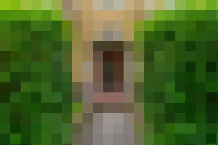 Lessinglaan 49 3 Utrecht thumbnail 4