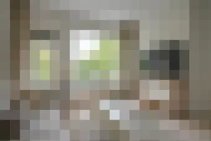 Lessinglaan 49 3 Utrecht thumbnail 9
