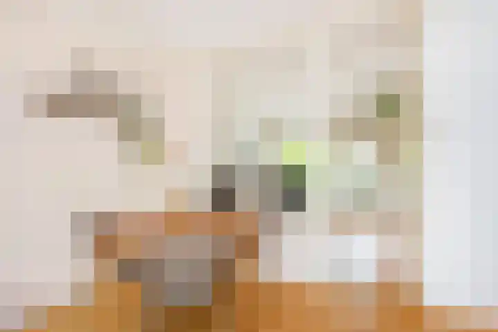 Lessinglaan 49 Utrecht thumbnail 11