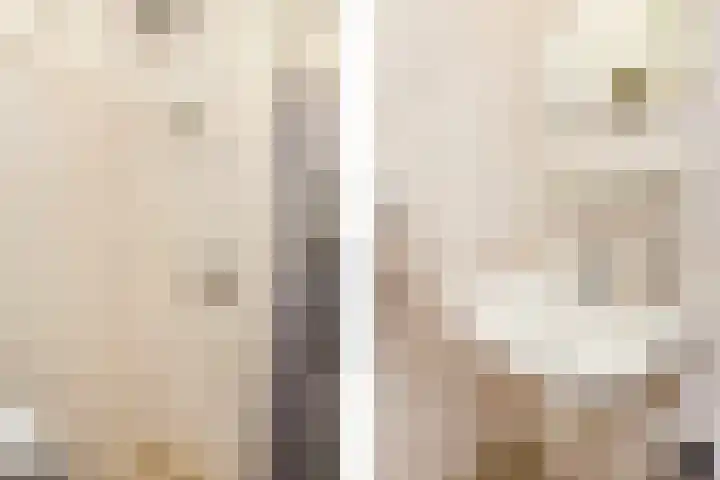 Lessinglaan 49 Utrecht thumbnail 17