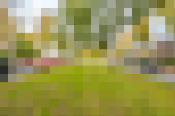 Lessinglaan 49 Utrecht thumbnail 22