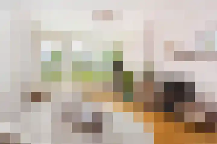 Lessinglaan 49 Utrecht thumbnail 4