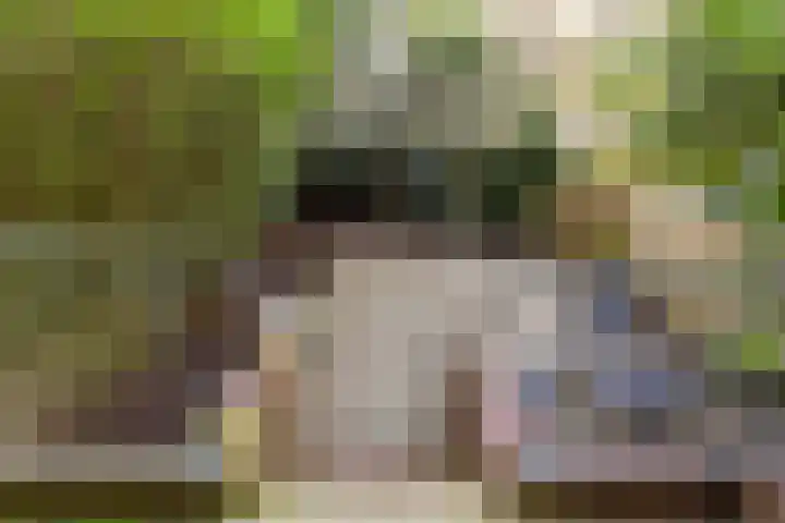 Lessinglaan 49 Utrecht thumbnail 7