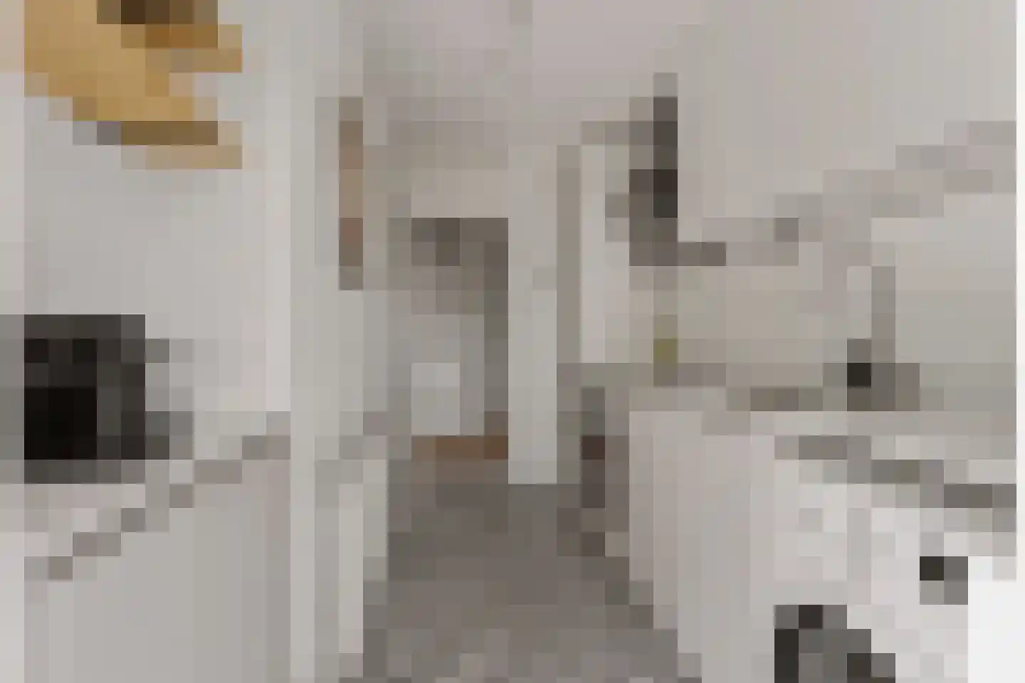 Lessinglaan 5 2 Utrecht thumbnail 10