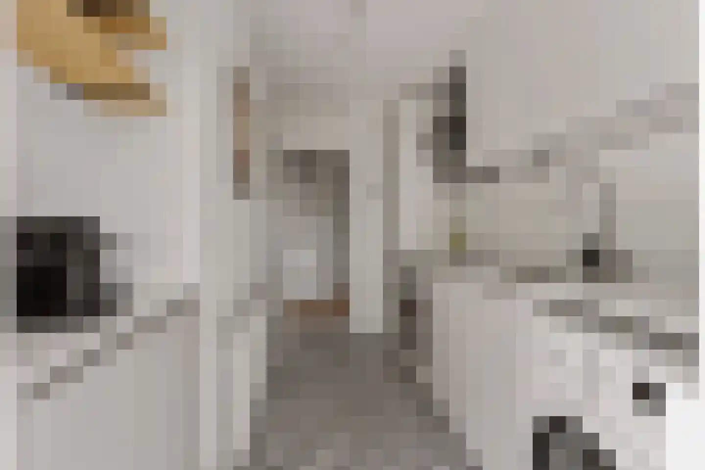 Lessinglaan 5 2 Utrecht thumbnail 18