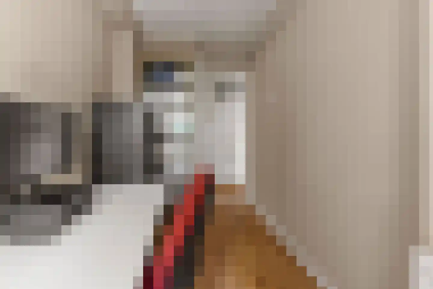 Lessinglaan 5 2 Utrecht thumbnail 24