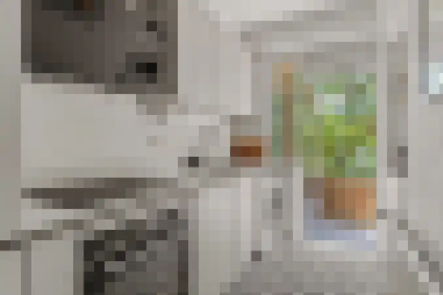 Lessinglaan 5 2 Utrecht thumbnail 4