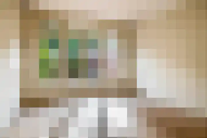 Lessinglaan 8 Utrecht thumbnail 12