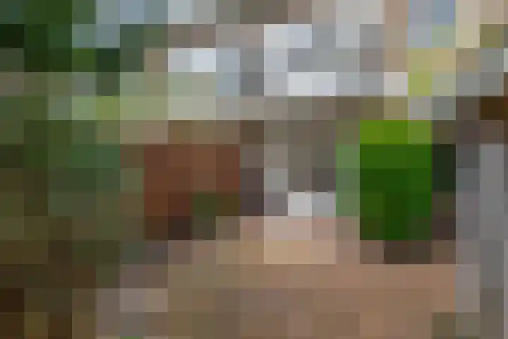 Lessinglaan 8 Utrecht thumbnail 19