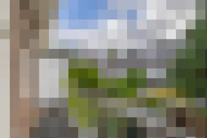 Lessinglaan 8 Utrecht thumbnail 23