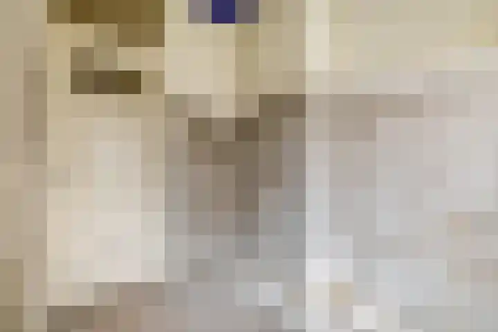 Lessinglaan 8 Utrecht thumbnail 24