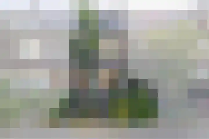 Lessinglaan 8 Utrecht thumbnail 5