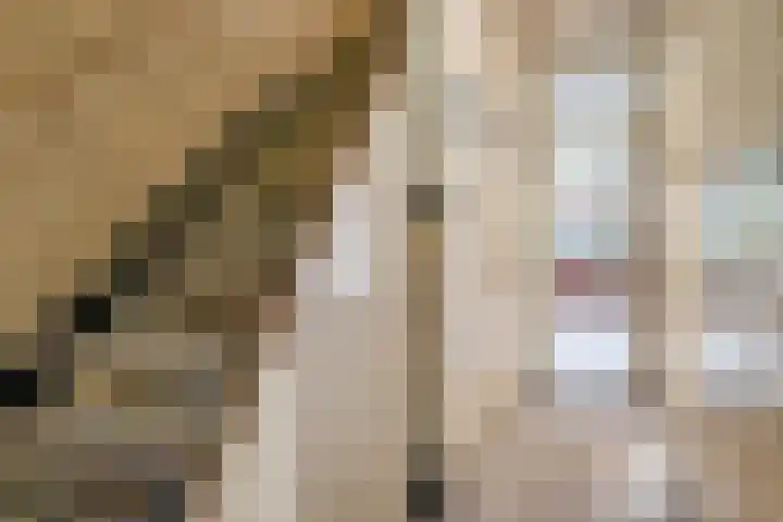 Lessinglaan 8 Utrecht thumbnail 8