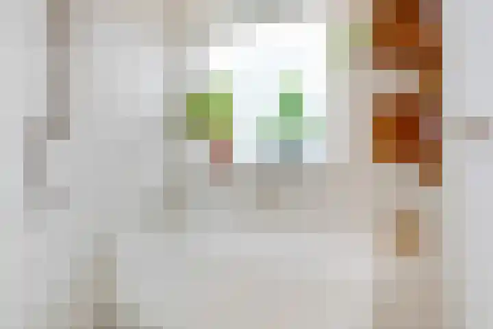 Lessinglaan 82 Utrecht thumbnail 4
