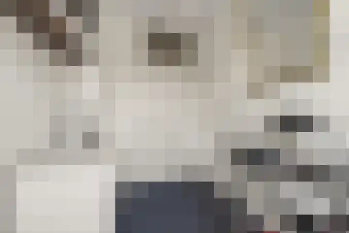 Lessinglaan 88 Utrecht thumbnail 29