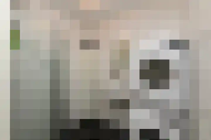 Lessinglaan 88 Utrecht thumbnail 44