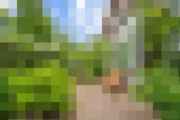 Lessinglaan 88 Utrecht thumbnail 5