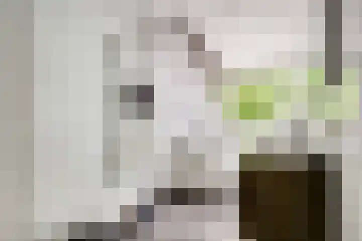 Lessinglaan 88 Utrecht thumbnail 7