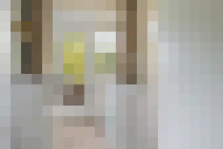 Lessinglaan 9 1 Utrecht thumbnail 20
