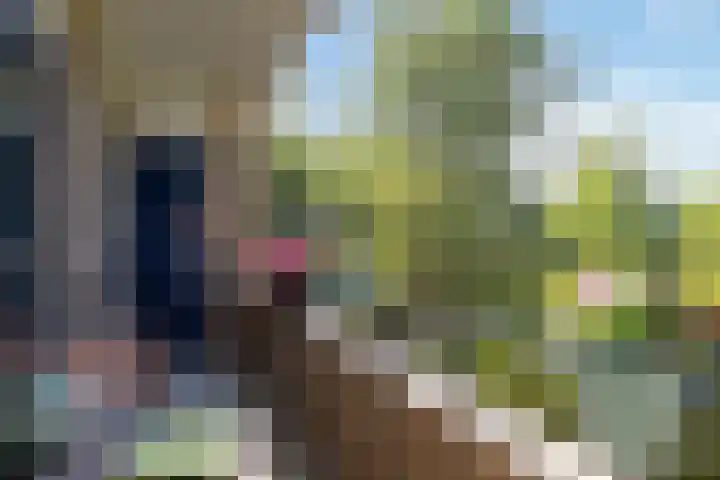 Lessinglaan 9 1 Utrecht thumbnail 28