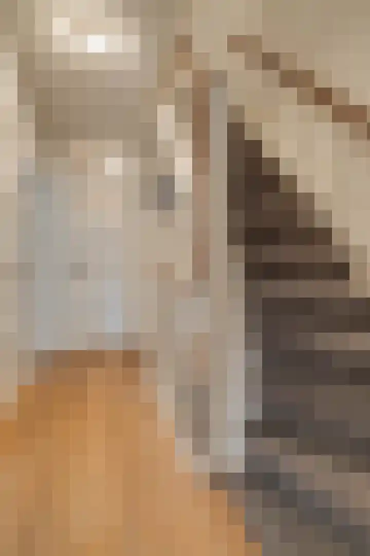 Lessinglaan 95 Utrecht thumbnail 34