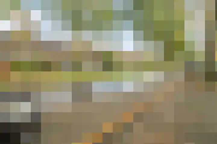 Lessinglaan 95 Utrecht thumbnail 50