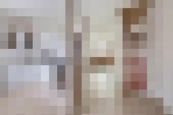 Lessingstraat 31 Venlo thumbnail 11